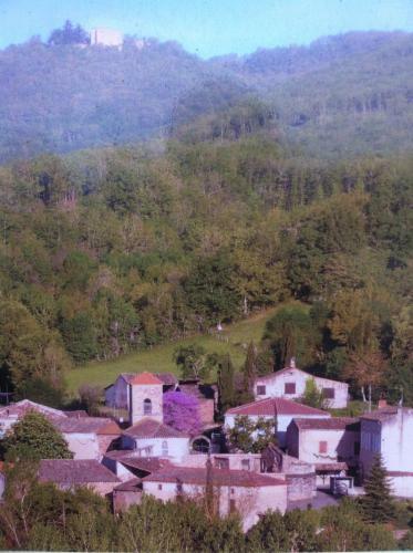 Maison � 6km de Cordes-sur-ciel