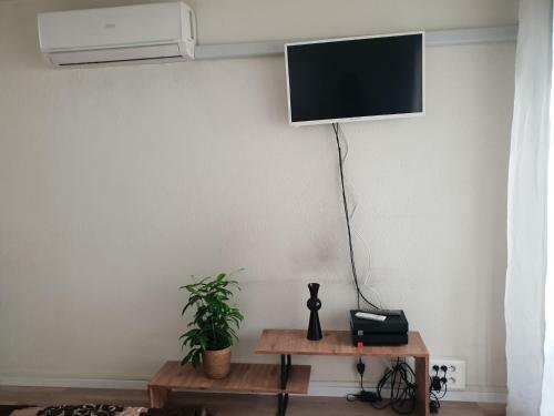 Cosy Studio