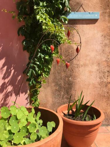 Hostal Les Cailloux Dor�s