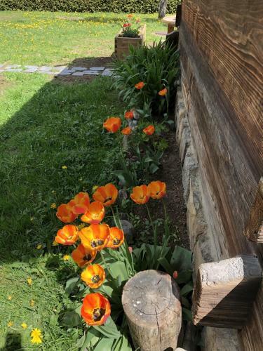 Bed & Breakfast Chalet Sur Les Monts Morzine