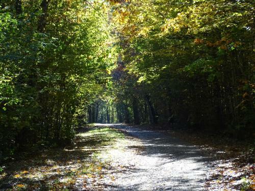 Bed & Breakfast Ch�teau de La Redorti�re