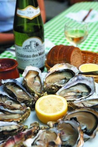 Nantes Camping Le Petit Port