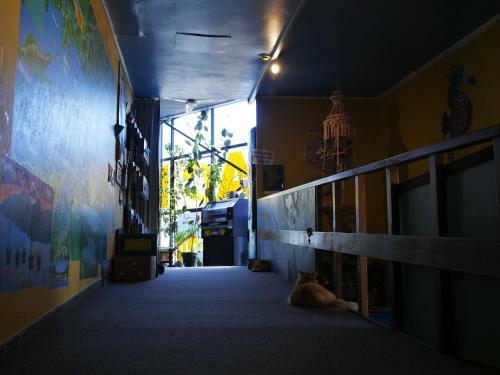 Albergue Atlantis Backpackers