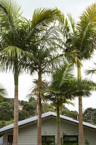 Hotel Waiheke Island Resort