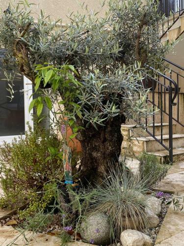 Apartamento Kimopassion - L'espace K
