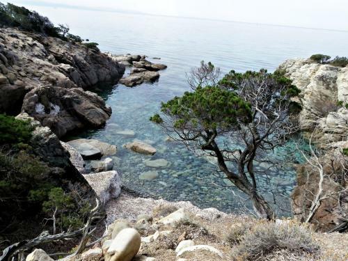 Apartamento R�sidence Saint Cyprien Plage