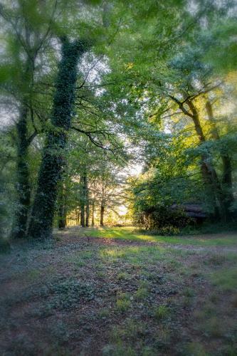 Hotel Ch�teau de Tress� Rest & Forest Spa