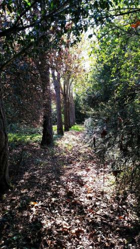 Bed & Breakfast Kastellren - Le Coin Nature � Rennes