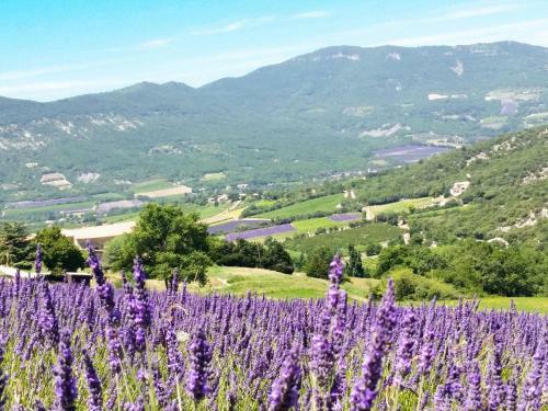 Holiday Home Le Buis - Rsb101