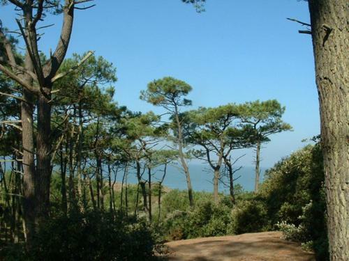 Apartamentos Cottages Du Valcoquet