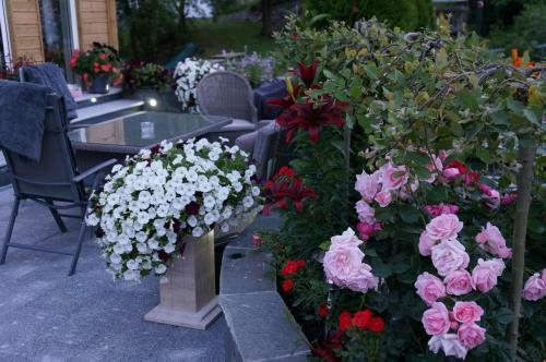 Apartamento Villa Baneheia