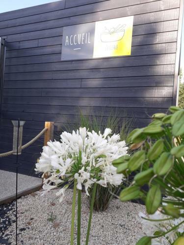 Domaine Les Epinettes