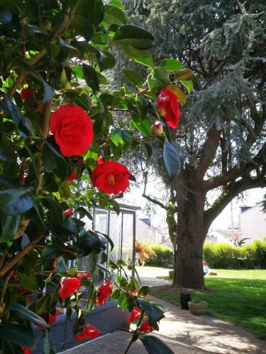 Bed & Breakfast Chambres D'h�tes La Maison Blanche