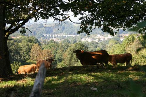 Holiday Home- Le Pavot