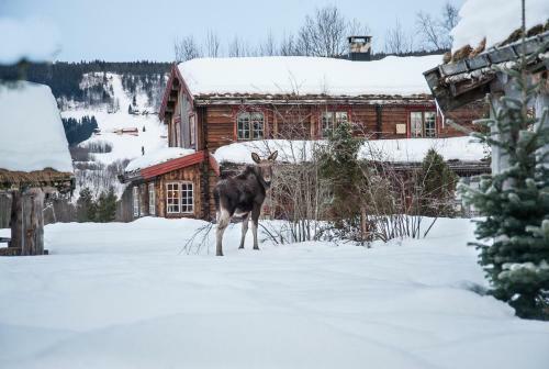 Saga Trollheimen Hotel