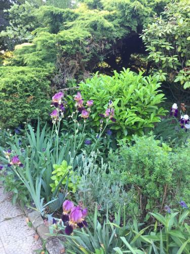 Villa Le Printemps Art D�co