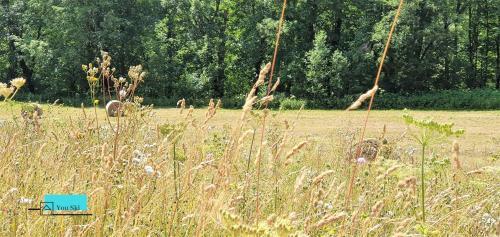 Chalet Individuel 12pers. Saint Sorlin D'arves