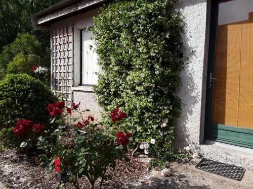 Hostal Chambres D'h�tes de L'ile Du Saule