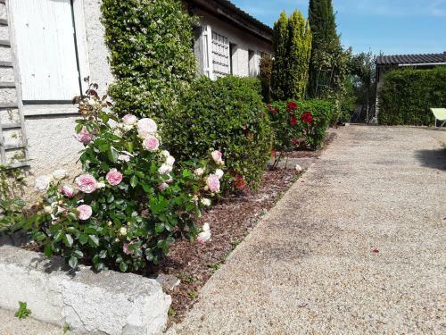 Hostal Chambres D'h�tes de L'ile Du Saule