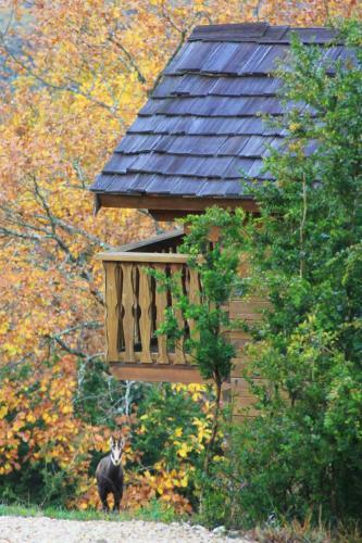 Cabanes Et Lodges Du Belvedere