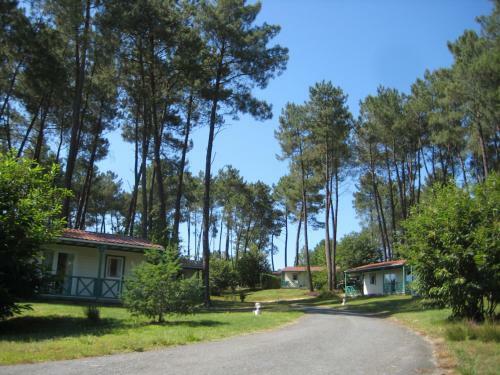 Domaine Des Grands Pins