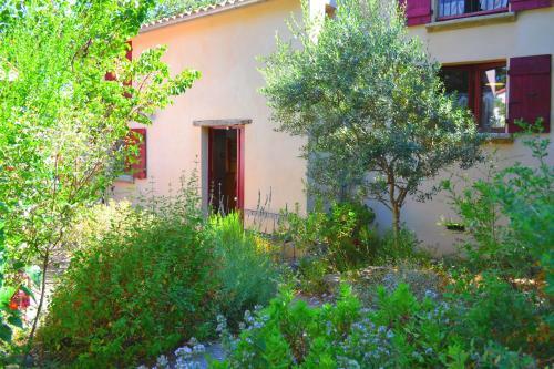 Hostal Maison De La Vigne