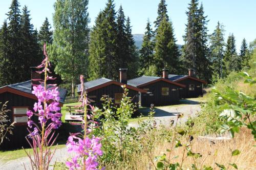 Lodge Trysil Hyttegrend