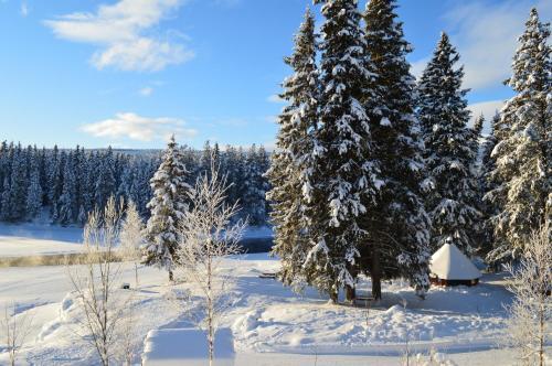 Lodge Trysil Hyttegrend
