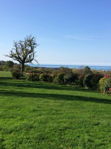 Bed & Breakfast Les Champs Rabats