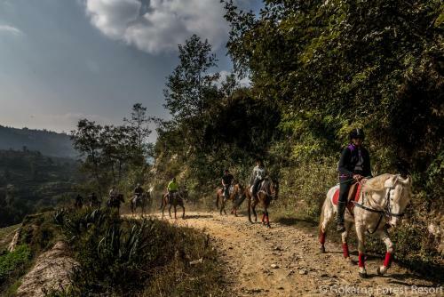Hotel Gokarna Forest Resort