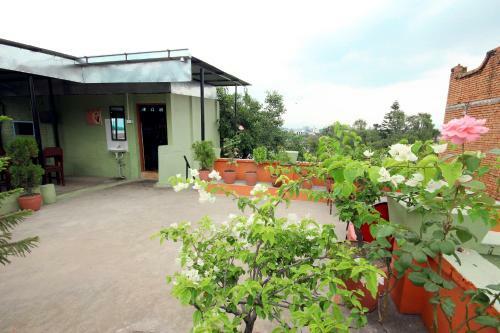 Hotel Backpackers Inn