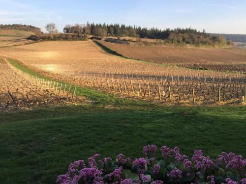 Les Maisons De Chamirey