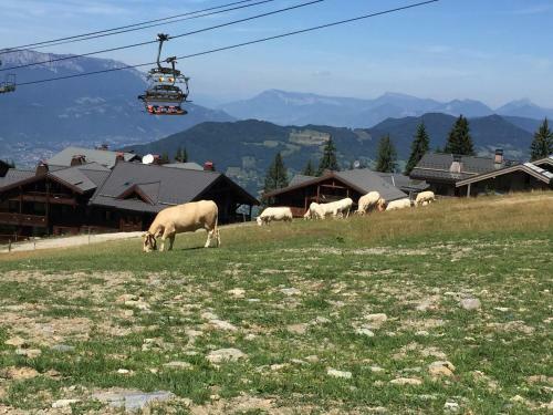 Apartamento Les 7laux Immobilier Chalet E