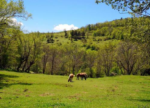 Apartamento Font Romeu - Via I