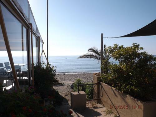 Apartamento R�sidence Roi Theodore