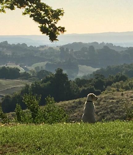 Bed & Breakfast Aux Coteaux D'aussac