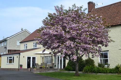 The Lawns Tea Room And B&B