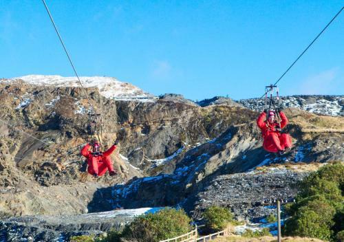Llety Llew Coch