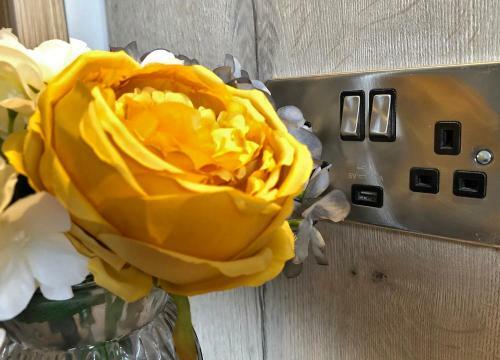 Bed & Breakfast Mcnaughton Guestrooms