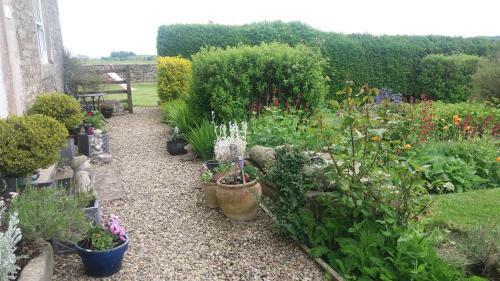 Bed & Breakfast Lily Hill Farm