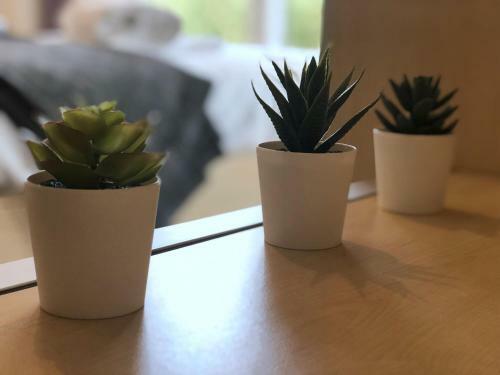 Apartamentos Birmingham Cube Fiveways Garden View Terrace Flat