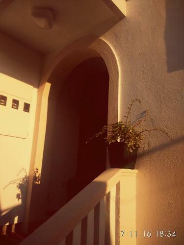 Apartments Jela