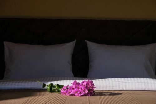 Apartments Perasto