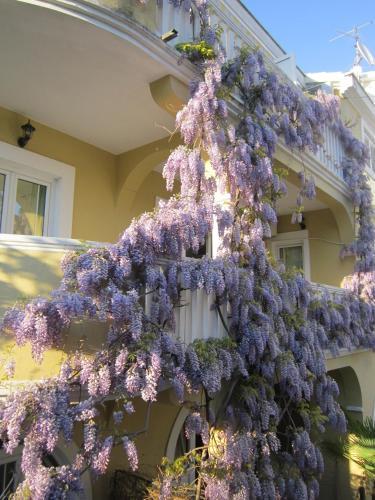 Aparthotel Huter Apartments