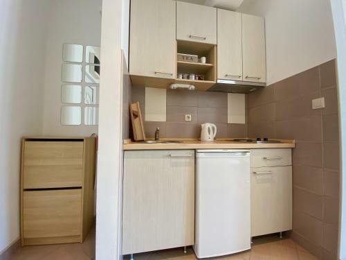 Apartments Bellevue - Otasevic