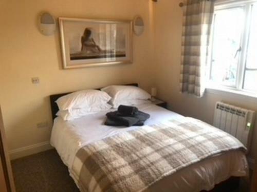Beautiful 2-bed Lodge In Romney Marsh