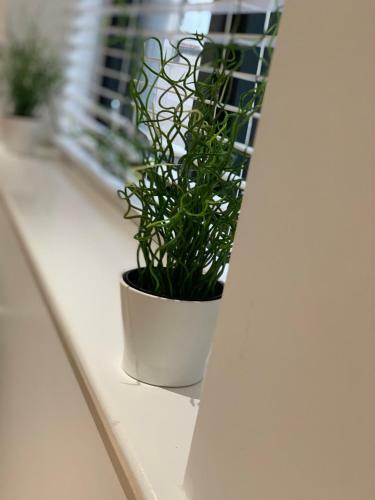 Riis Apartments Camberley