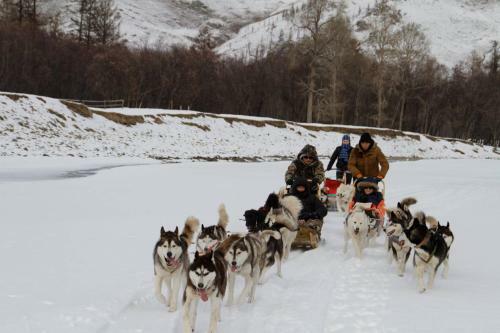 Hostal Top Tour & Guesthouse Mongolia