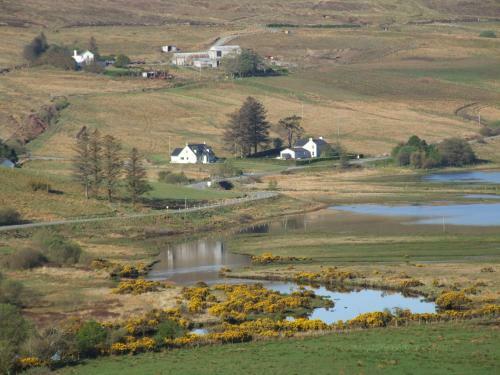 Bed & Breakfast Trien Lodge