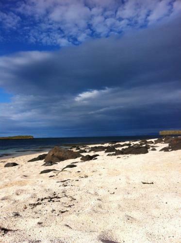 Bird Song Bothy